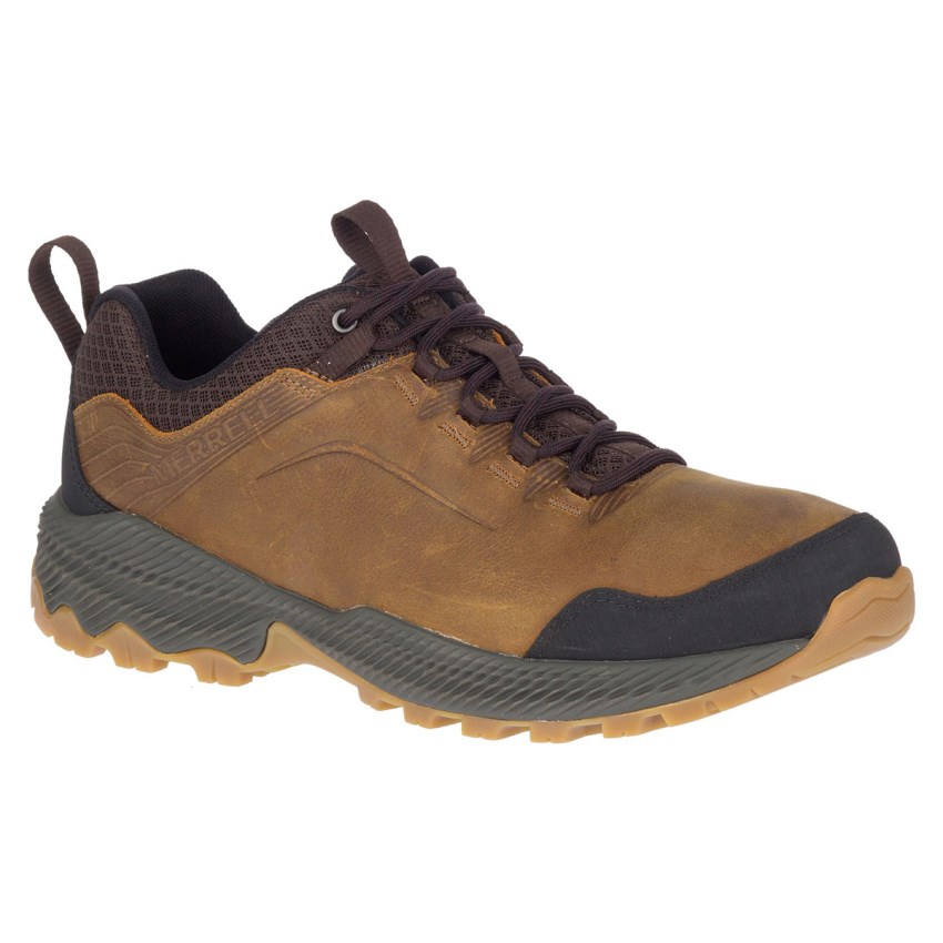 Chaussures Randonnée Merrell Forestbound Marron Homme | D.I.SIHR